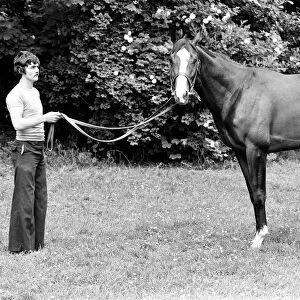 Derby winning racehorse Shergar at stables. 6th June 1981