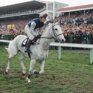 Desert Orchid and Richard Dunwoody finish 3rd in the 1990 Cheltenham Gold Cup Desert Orchid and Richard Dunwoody finish 3rd in the 1990 Cheltenham Gold Cup