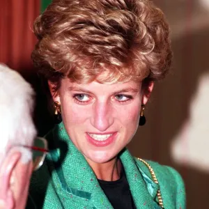 Diana, Princess of Wales Print Circa 1996