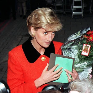 Diana, Princess of Wales at a meeting in London to mark the 30th anniversary of