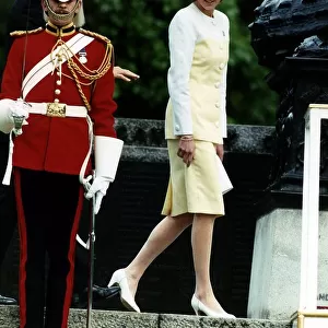 Diana, Princess of Wales, walking past a guardsman as she attends the Old Comrades Parade