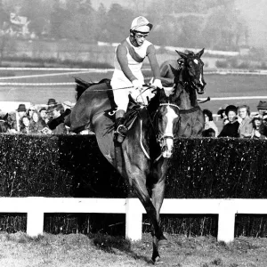 Cheltenham Gold Cup 1972 Print: The Dikler