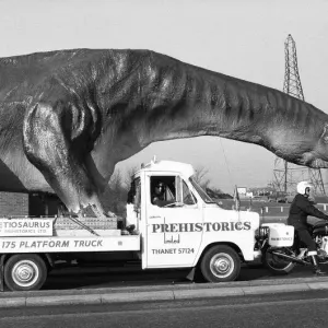 Cetiosaurus on the Move in Essex Print, 31st January 1973