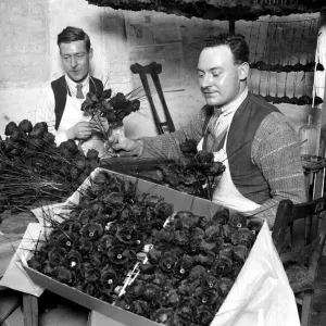 Les anciens combattants handicapés, au nouveau bataillon poppy britannique à Richmond. Les anciens combattants handicapés, au nouveau bataillon poppy britannique à Richmond.