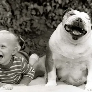Dixie the Bulldog with toddler Dean Brooks at their home in Rossendale