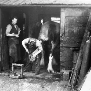 Dobbin at the Smithy Print
