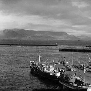 The dock in Icelands captial Reykjavik September 1951 P003438