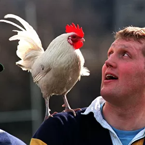 DODDIE WEIR Scottish rugby player with cockerel on shoulder February 1998
