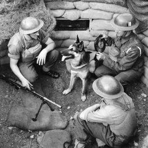Print of a British soldier with a dog, an ammunition carrier Print of a British soldier with a dog, an ammunition carrier