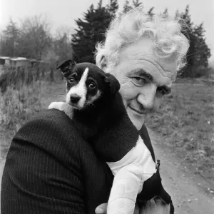 Dog in splint. 1975