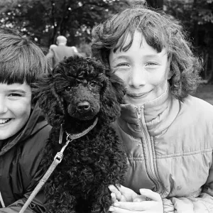 The dog with a waggiest tail, the friendliest face and best legs went on show The dog with a waggiest tail, the friendliest face and best legs went on show