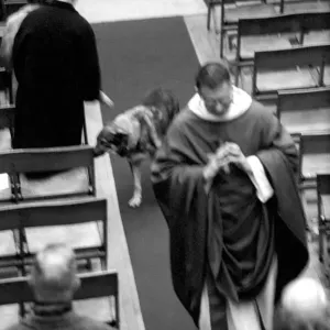 Dogs animals humor religion: Shadow'the Alsatian follows her master - parish
