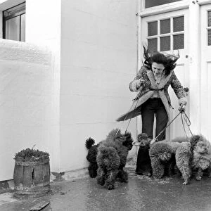 Dogs evicted. Mrs. Fay Hughes. January 1975 75-00437-006