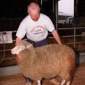 Dolly the clone sheep Dolly the clone sheep