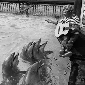 The Dolphins gather round to listen to Kay Smart singing, with guitar accompaniment The Dolphins gather round to listen to Kay Smart singing, with guitar accompaniment