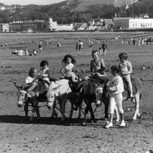 Donkey Rides on Llandudno Beach Print 30th August 1989