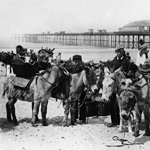 Donkey Rides on Rhyl beach 1891