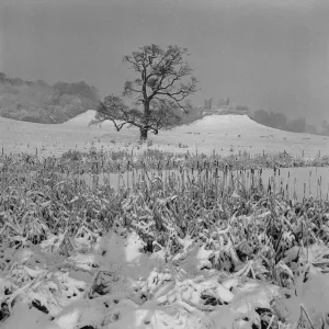 The Dower House, Stoke Park, Bristol Print - 31st December 1961 The Dower House, Stoke Park, Bristol Print - 31st December 1961