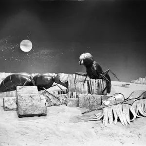 The Dr Who television serial written by Bill Struttonwill, The Web Planet