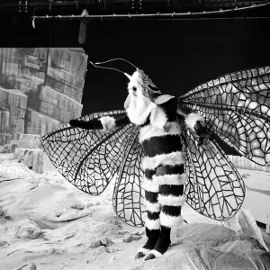 The Dr Who television serial written by Bill Struttonwill, The Web Planet
