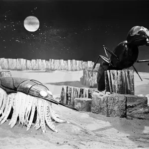 The Dr Who television serial written by Bill Struttonwill, The Web Planet
