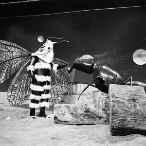 The Dr Who television serial written by Bill Struttonwill, The Web Planet
