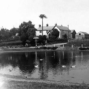 The Duck Pond, a well know spot on the Mouldworth- Delamere Forest Road, Cheshire