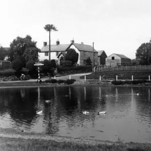 The Duck Pond, Mouldworth-Delamere Forest Road Print 1935
