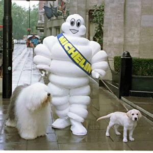 The Dulux Dog (L) Mr Michelin And The Andrex Puppy (R) Three Images Go For A Walk At The