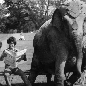 Dum-Dum the Elephant at Rest, Pype Hayes Park Print May 1982 Dum-Dum the Elephant at Rest, Pype Hayes Park Print May 1982