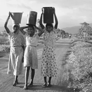 East Indian Women in Trinidad Sugar Fields Print, 1946