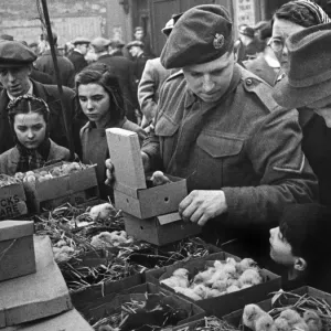 East London Small holders restocking sale. 18th February 1945 East London