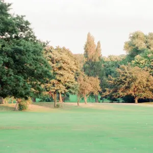Edge of Wood, Sefton Park, south Liverpool, 1st September 1994 Edge of Wood, Sefton Park, south Liverpool, 1st September 1994