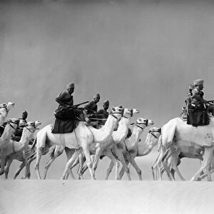 Egyptian camel corps train in the desert. 1940