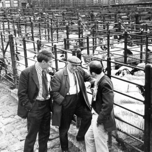Electioneering at grassroots level has changed little over the years Electioneering at grassroots level has changed little over the years