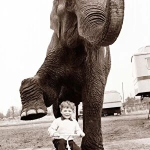 An elephant waves his trunk and lifts his foot in play with a young boy on a tricycle