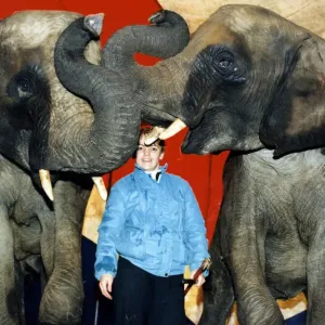 Elephants Rosa and Opal with their trainer Sallyann Roncescu at Chipperfields Circus near Elephants Rosa and Opal with their trainer Sallyann Roncescu at Chipperfields Circus near