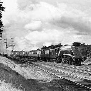 The Elizabethan at speed, on 10th January 1956, headed by Class A4 locomotive Gannet