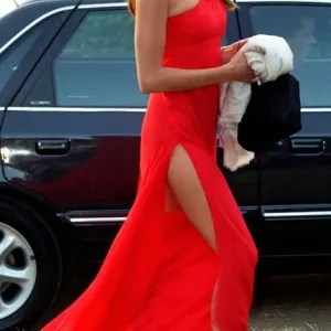 Elle Macpherson at Imran Khan's Western Wedding Print Elle Macpherson at Imran Khan's Western Wedding Print