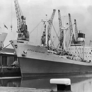 Ellerman Lines The City of Auckland Cargo Ship Print 1975 Ellerman Lines The City of Auckland Cargo Ship Print 1975