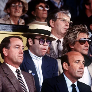 Elton John and Rod Stewart enjoy a football match at Watford