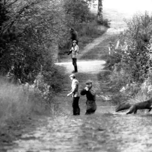 At the end of the first drive this afternoon, a fox made a dash for freedom across At the end of the first drive this afternoon, a fox made a dash for freedom across