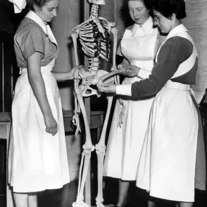 At the end of their training they will be introduced to ward duty At the end of their training they will be introduced to ward duty
