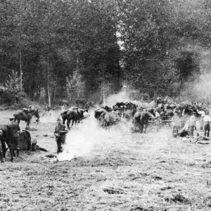 English cavalry call a halt in the strenuous life at the front English cavalry call a halt in the strenuous life at the front