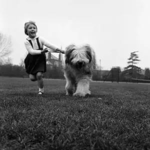 English Sheepdog Bobby Bingo and Caroline, 1960 Print