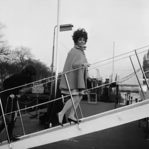 Enjoying a rather expensive quarantine, the dogs of Elizabeth Taylor Enjoying a rather expensive quarantine, the dogs of Elizabeth Taylor