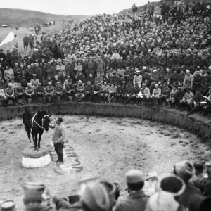 Entertainment for the troops. The circus that has been inaugurated for the amusement of Entertainment for the troops. The circus that has been inaugurated for the amusement of