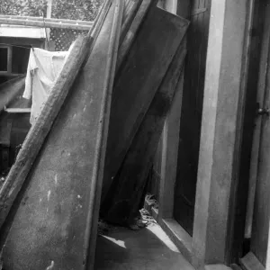 The entrance to an air raid shelter which saved a woman 70 years of age from injury when The entrance to an air raid shelter which saved a woman 70 years of age from injury when