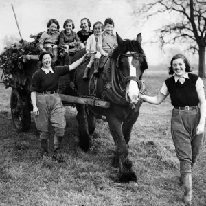 Print of Evacuees on a Warwickshire Farm Print of Evacuees on a Warwickshire Farm