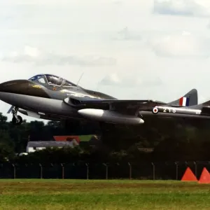 An ex-RAF De Havilland Vampire T55 twin seat training aircraft taking off An ex-RAF De Havilland Vampire T55 twin seat training aircraft taking off